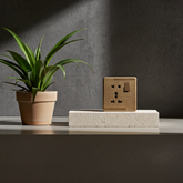 ECM Brown Light Plug