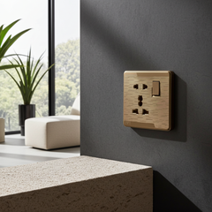 ECM Brown Light Plug
